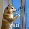 虾喵喵啊