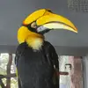 曼联什么时候买中场