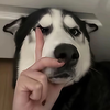 饿了就睡觉