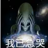 球迷5108959