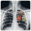 捕龟达人亚马尔