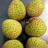 奶奶被狼吃掉了