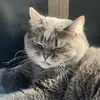 那还能说啥