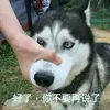 金靴奖小梁7