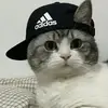 王者霍洛威