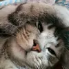 丶花落尽执何手