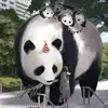 唔之
