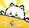 元不是元