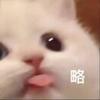 乌迪内斯小高