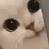 春风走马绣三山