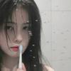 文昭w