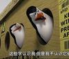 拜仁传奇25号穆勒