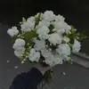 茉莉花开勿忘告乃翁