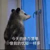 小方爱跳片头