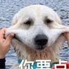 苏州比利亚雷亚尔B队小贾