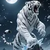 狂虎