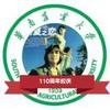 越秀区本地球迷