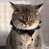 懂个球113