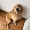 乱缠